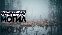 Багровое болото - Игорь Шанин - Аудиокниги слушать онлайн бесплатно без регистрации | электронная библиотека knigi-audio.info