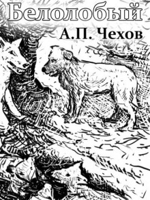 Белолобый - Антон Чехов - Аудиокниги слушать онлайн бесплатно без регистрации | электронная библиотека knigi-audio.info