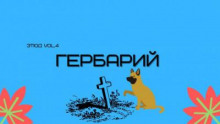 Гербарий - Александр Денисенко - Аудиокниги слушать онлайн бесплатно без регистрации | электронная библиотека knigi-audio.info