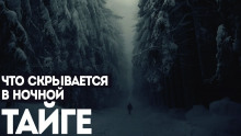 Ямщик - Автор неизвестен - Аудиокниги слушать онлайн бесплатно без регистрации | электронная библиотека knigi-audio.info