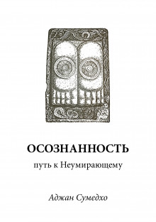 Осознанность путь к Неумирающему - Аджан Сумедхо - Аудиокниги слушать онлайн бесплатно без регистрации | электронная библиотека knigi-audio.info