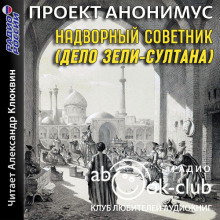 Надворный советник (Дело Зели-Султана) - Автор неизвестен - Аудиокниги слушать онлайн бесплатно без регистрации | электронная библиотека knigi-audio.info
