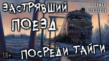 Перегон - Герман Шендеров - Аудиокниги слушать онлайн бесплатно без регистрации | электронная библиотека knigi-audio.info
