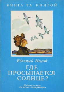 Где просыпается солнце? - Евгений Носов - Аудиокниги слушать онлайн бесплатно без регистрации | электронная библиотека knigi-audio.info
