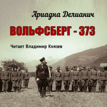 Вольфсберг-373 - Ариадна Делианич - Аудиокниги слушать онлайн бесплатно без регистрации | электронная библиотека knigi-audio.info