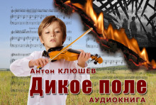 Дикое Поле - Антон Клюшев - Аудиокниги слушать онлайн бесплатно без регистрации | электронная библиотека knigi-audio.info