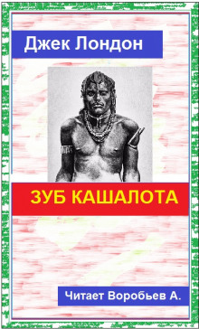 Зуб кашалота - Джек Лондон - Аудиокниги слушать онлайн бесплатно без регистрации | электронная библиотека knigi-audio.info