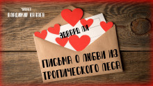 Письма о любви из тропического леса - Эдвард Ли - Аудиокниги слушать онлайн бесплатно без регистрации | электронная библиотека knigi-audio.info