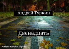 Двенадцать - Андрей Туркин - Аудиокниги слушать онлайн бесплатно без регистрации | электронная библиотека knigi-audio.info