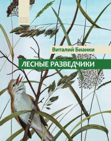 Лесные разведчики - Виталий Бианки - Аудиокниги слушать онлайн бесплатно без регистрации | электронная библиотека knigi-audio.info