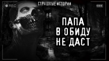 В обиду не даст - Роман Башаев - Аудиокниги слушать онлайн бесплатно без регистрации | электронная библиотека knigi-audio.info