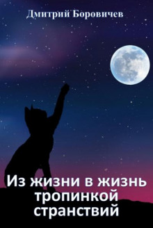 Из жизни в жизнь тропинкой странствий - Дмитрий Боровичёв - Аудиокниги слушать онлайн бесплатно без регистрации | электронная библиотека knigi-audio.info