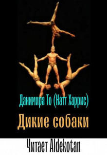 Дикие собаки - Данимира То (Натт Харрис) - Аудиокниги слушать онлайн бесплатно без регистрации | электронная библиотека knigi-audio.info