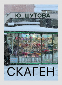 Скаген - Юлия Шутова - Аудиокниги слушать онлайн бесплатно без регистрации | электронная библиотека knigi-audio.info