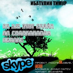 Ох уж этот скайп на силиконовом облаке - Аудиокниги слушать онлайн бесплатно без регистрации | электронная библиотека knigi-audio.info