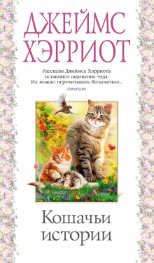 Олли и Жулька - Джеймс Хэрриот - Аудиокниги слушать онлайн бесплатно без регистрации | электронная библиотека knigi-audio.info