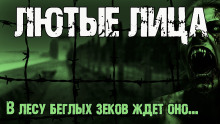Лютые лица - Мирон Высота - Аудиокниги слушать онлайн бесплатно без регистрации | электронная библиотека knigi-audio.info