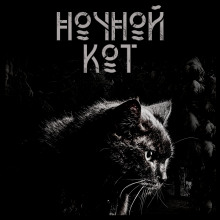 Ночной кот - Сергей Стэн - Аудиокниги слушать онлайн бесплатно без регистрации | электронная библиотека knigi-audio.info