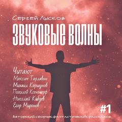 Звуковые волны - Лысков Сергей - Аудиокниги слушать онлайн бесплатно без регистрации | электронная библиотека knigi-audio.info
