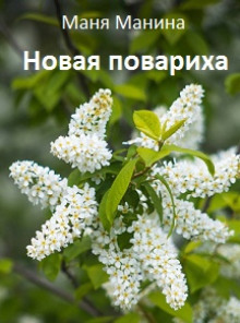 Новая повариха - Маня Манина - Аудиокниги слушать онлайн бесплатно без регистрации | электронная библиотека knigi-audio.info