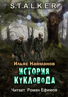 S.T.A.L.K.E.R. История Кукловода - Ильяс Найманов - Аудиокниги слушать онлайн бесплатно без регистрации | электронная библиотека knigi-audio.info