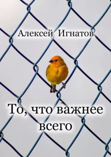 То, что важнее всего - Алексей Игнатов - Аудиокниги слушать онлайн бесплатно без регистрации | электронная библиотека knigi-audio.info