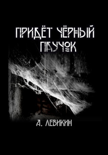 Придёт чёрный паучок - Алексей Левикин - Аудиокниги слушать онлайн бесплатно без регистрации | электронная библиотека knigi-audio.info
