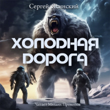 Холодная дорога - Сергей Ясинский - Аудиокниги слушать онлайн бесплатно без регистрации | электронная библиотека knigi-audio.info