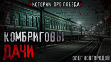 Комбриговы дачи - Олег Новгородов - Аудиокниги слушать онлайн бесплатно без регистрации | электронная библиотека knigi-audio.info