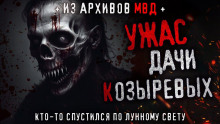Кто-то спустился по лунному свету - Олег Новгородов - Аудиокниги слушать онлайн бесплатно без регистрации | электронная библиотека knigi-audio.info