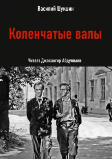 Коленчатые валы - Василий Шукшин - Аудиокниги слушать онлайн бесплатно без регистрации | электронная библиотека knigi-audio.info