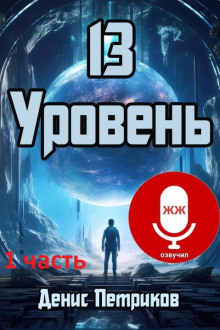 13 уровень - Денис Петриков - Аудиокниги слушать онлайн бесплатно без регистрации | электронная библиотека knigi-audio.info
