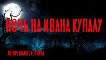 Ночь на Ивана Купалу - Юлия Скоркина - Аудиокниги слушать онлайн бесплатно без регистрации | электронная библиотека knigi-audio.info