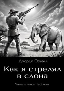 Как я стрелял в слона - Джордж Оруэлл - Аудиокниги слушать онлайн бесплатно без регистрации | электронная библиотека knigi-audio.info