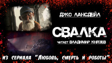 Свалка - Джо Р. Лансдейл - Аудиокниги слушать онлайн бесплатно без регистрации | электронная библиотека knigi-audio.info