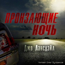 Пронзающие ночь - Джо Р. Лансдейл - Аудиокниги слушать онлайн бесплатно без регистрации | электронная библиотека knigi-audio.info