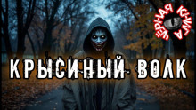 Крысиный волк - Rez0nman - Аудиокниги слушать онлайн бесплатно без регистрации | электронная библиотека knigi-audio.info