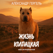 Жизнь колпацкая - Александр Гергель - Аудиокниги слушать онлайн бесплатно без регистрации | электронная библиотека knigi-audio.info