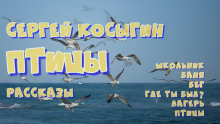 Сборник рассказов - Сергей Косыгин - Аудиокниги слушать онлайн бесплатно без регистрации | электронная библиотека knigi-audio.info