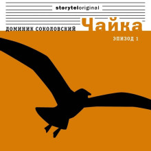 Чайка - Доминик Соколовский - Аудиокниги слушать онлайн бесплатно без регистрации | электронная библиотека knigi-audio.info