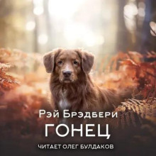 Гонец - Рэй Брэдбери - Аудиокниги слушать онлайн бесплатно без регистрации | электронная библиотека knigi-audio.info