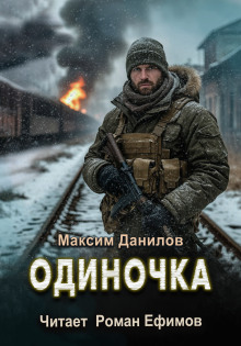 Одиночка - Максим Данилов - Аудиокниги слушать онлайн бесплатно без регистрации | электронная библиотека knigi-audio.info