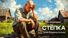 Стёпка - Василий Шукшин - Аудиокниги слушать онлайн бесплатно без регистрации | электронная библиотека knigi-audio.info