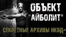 Секретные архивы НКВД. Объект "Айболит" - Максим Никитин - Аудиокниги слушать онлайн бесплатно без регистрации | электронная библиотека knigi-audio.info