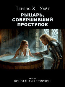 Рыцарь, совершивший проступок - Теренс Хэнбери Уайт - Аудиокниги слушать онлайн бесплатно без регистрации | электронная библиотека knigi-audio.info