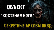 Секретные архивы НКВД. Объект "Костяная нога" - Максим Никитин - Аудиокниги слушать онлайн бесплатно без регистрации | электронная библиотека knigi-audio.info