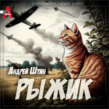 Рыжик - Андрей Штин - Аудиокниги слушать онлайн бесплатно без регистрации | электронная библиотека knigi-audio.info