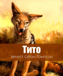 Тито - дочь степей - Эрнест Сетон-Томпсон - Аудиокниги слушать онлайн бесплатно без регистрации | электронная библиотека knigi-audio.info