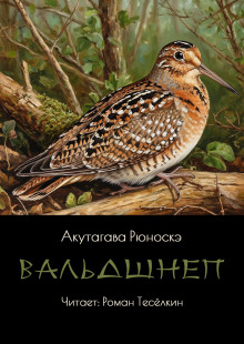 Вальдшнеп - Рюноскэ Акутагава - Аудиокниги слушать онлайн бесплатно без регистрации | электронная библиотека knigi-audio.info