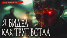 Общество чистых тарелок - Иван Миронов - Аудиокниги слушать онлайн бесплатно без регистрации | электронная библиотека knigi-audio.info